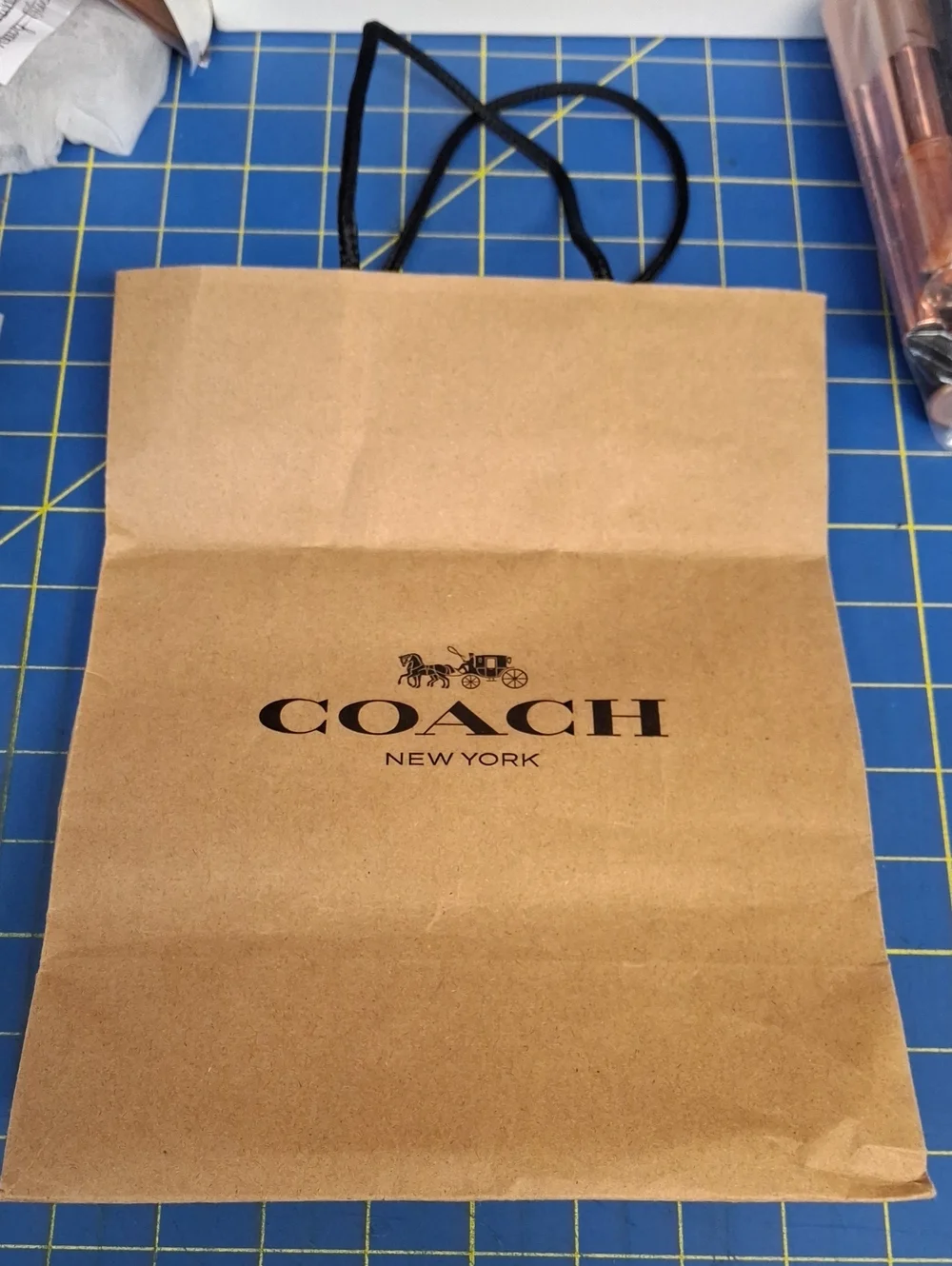 Paper Coach Bag 8x10 Preloved